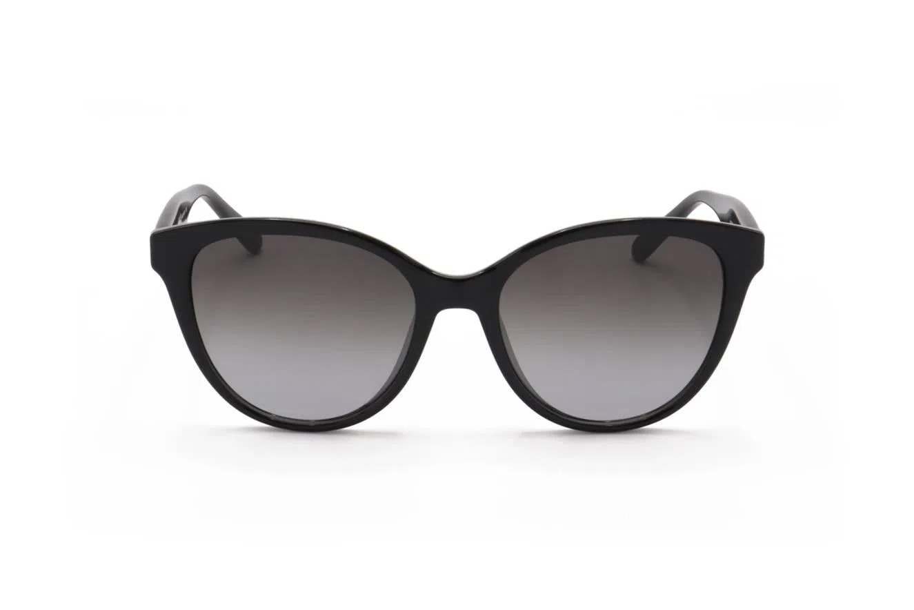 Ferragamo SF1073S Sunglasses - view 5